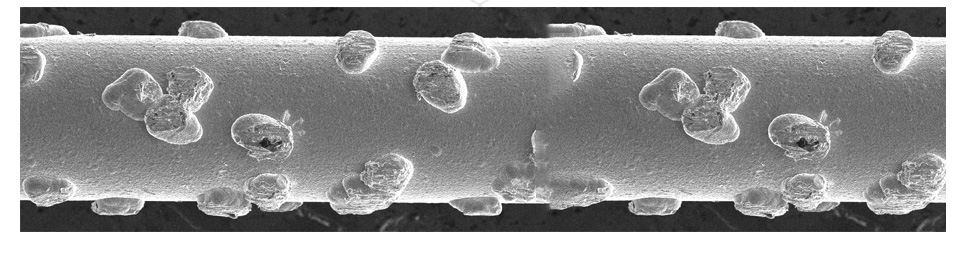 z6com-�й�Ψһ����