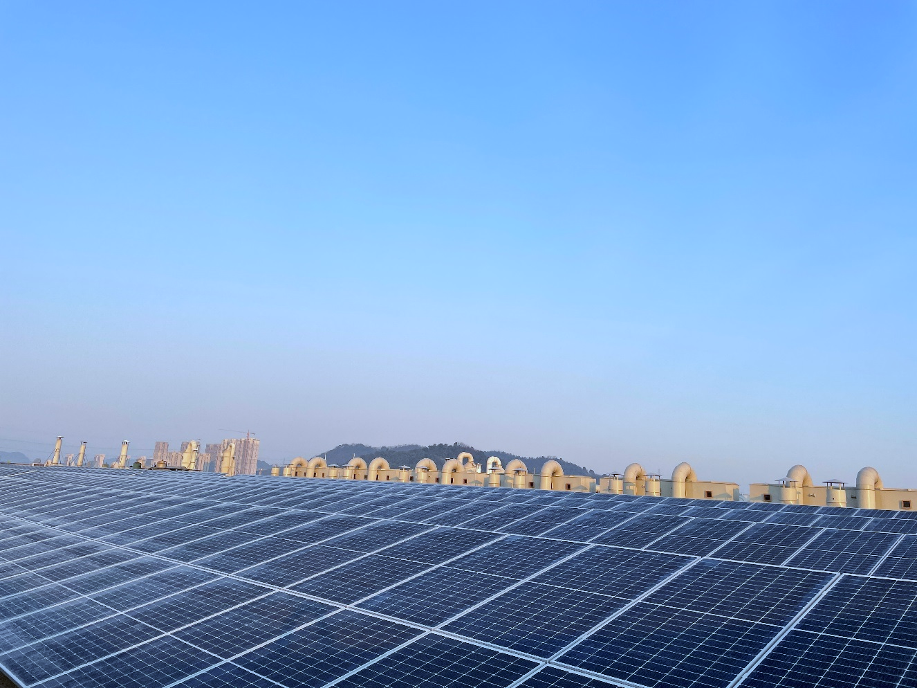 z6com-�й�Ψһ����